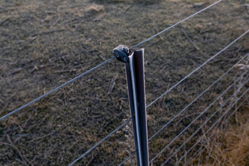 Completed Electric Fence