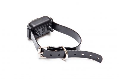 Secure Fencing Systems